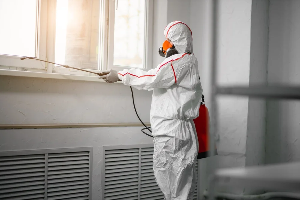 Professional mold remediation services in Manitowoc, WI